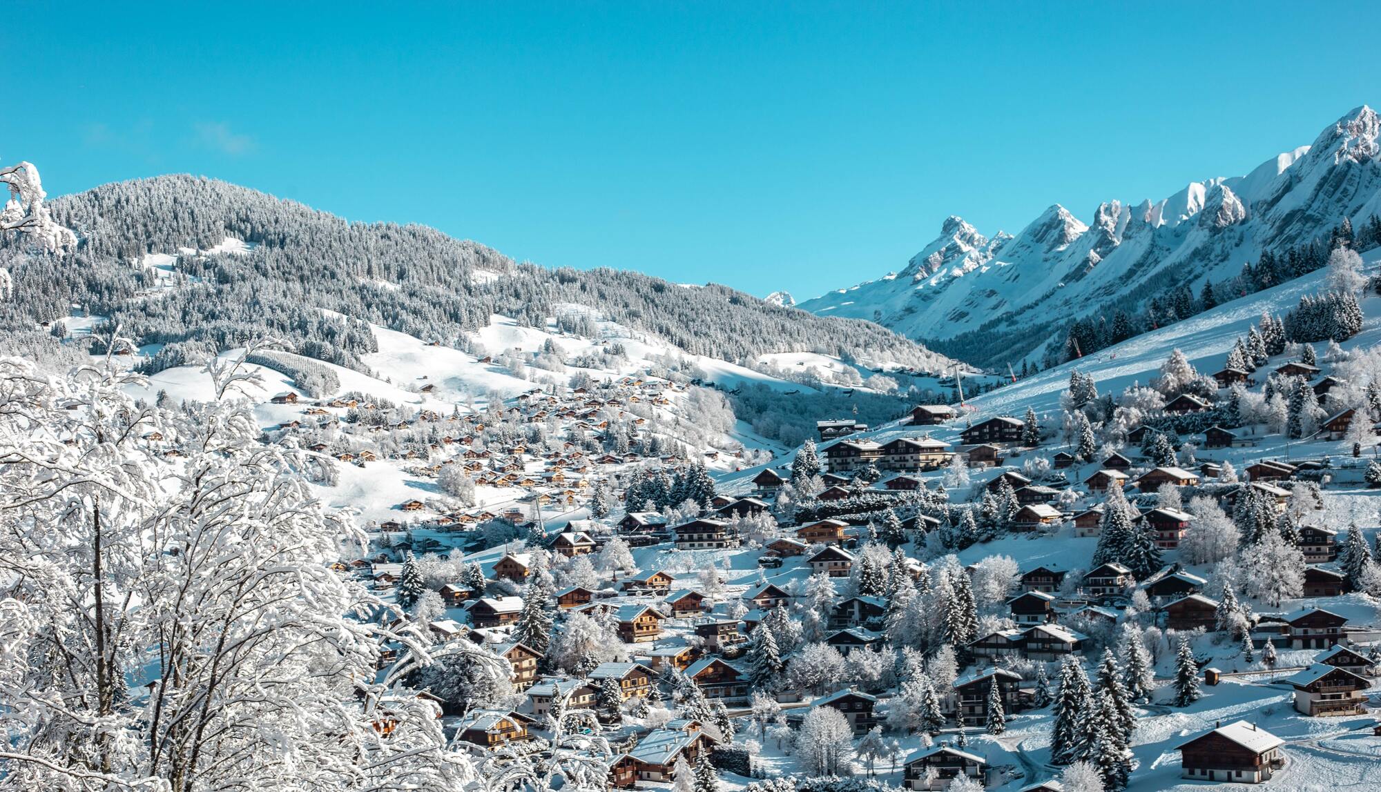 Alpe d'Huez : la branchée - Cameleon Alpes (FRANCE)