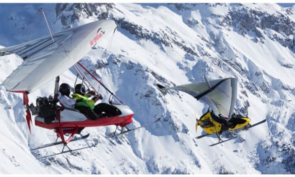 tignessuivezcameleon-ulm